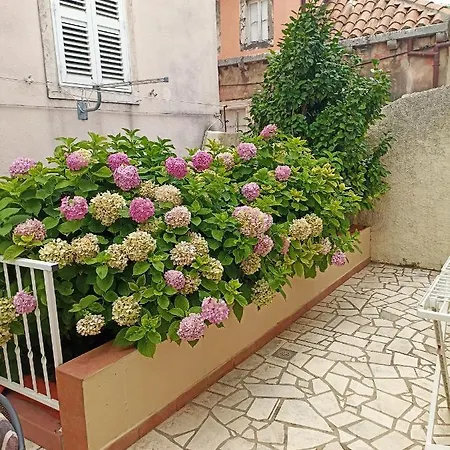 Apartment Rina - Old Town Dubrovnik Exteriör bild