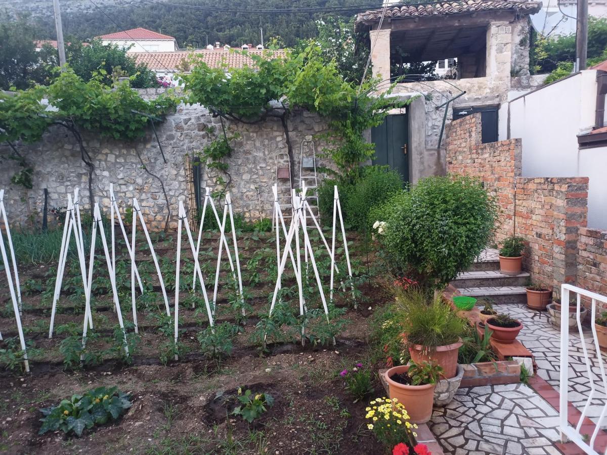 Apartment Rina - Old Town *